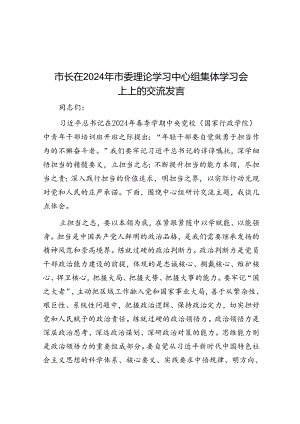 市长在2024年市委理论学习中心组集体学习会上上的交流发言.docx