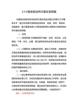 敬老院自然灾害应急预案.docx