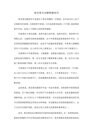 鼻旁窦名词解释解剖学.docx