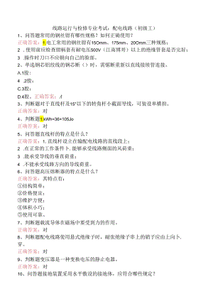 线路运行与检修专业考试：配电线路（初级工）.docx