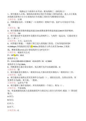 线路运行与检修专业考试：配电线路工（强化练习）.docx