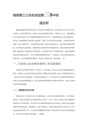 精细化预算管理在电力企业财务管理中的实践分析.docx