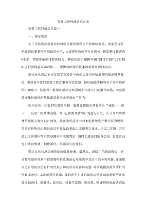 青蓝工程师傅总结合集.docx