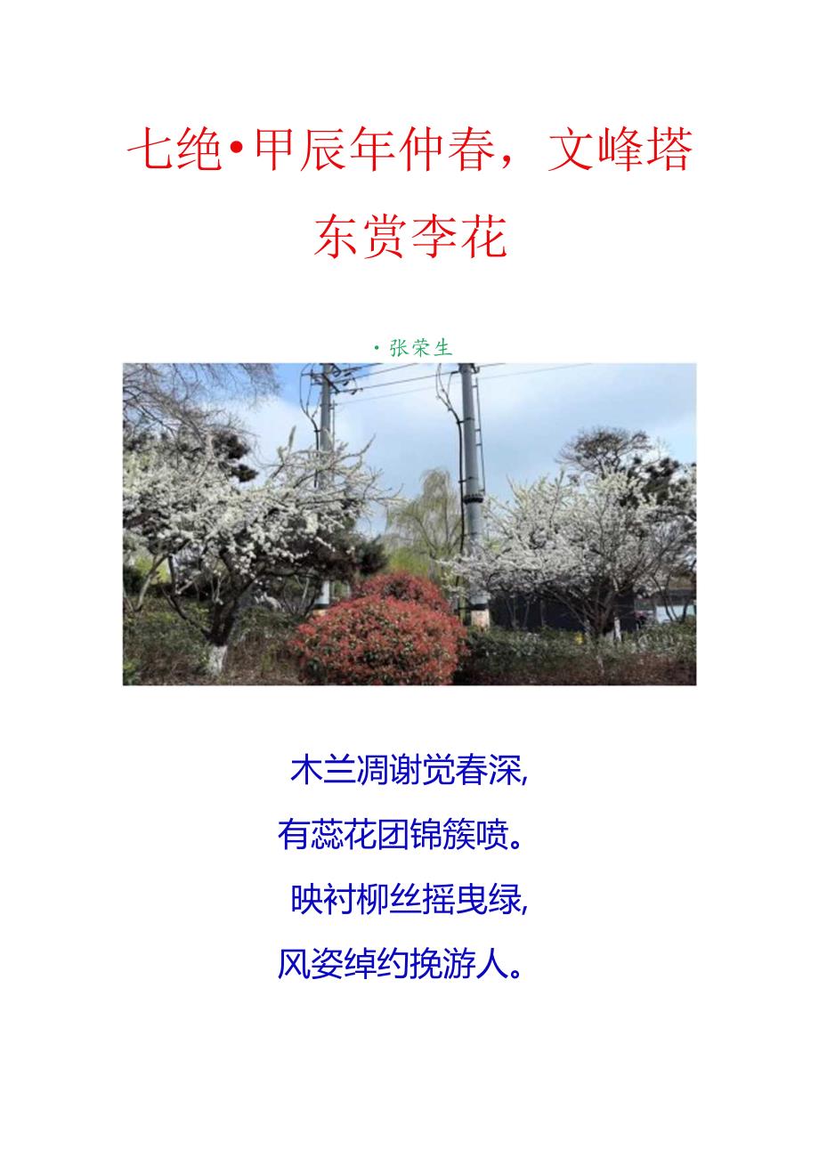 七绝-甲辰年仲春文峰塔东赏李花.docx_第1页