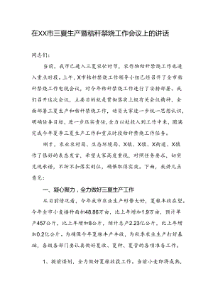 在XX市三夏生产暨秸秆禁烧工作会议上的讲话.docx