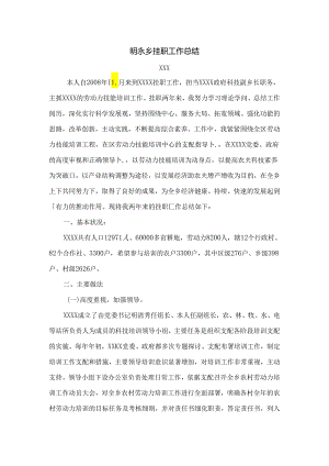 乡镇挂职副乡长挂职总结.docx