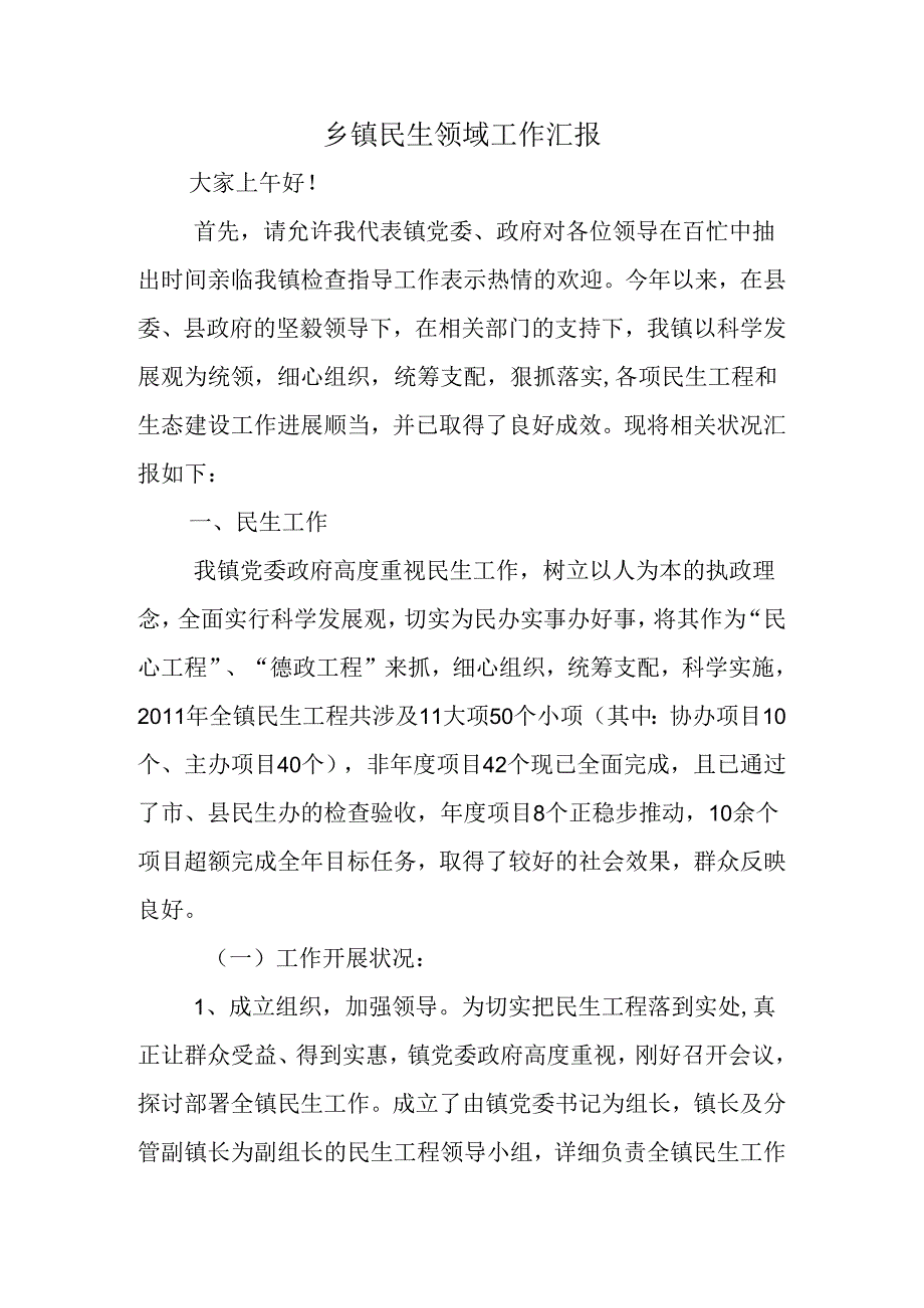 乡镇民生领域工作汇报.docx_第1页