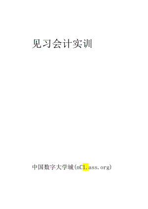 【南京大学见习会计课公告】--实训报告样本.docx