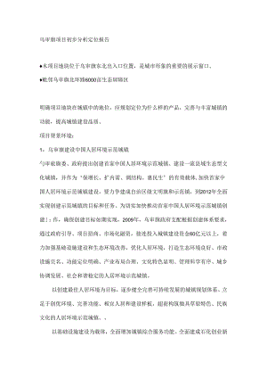 乌审旗项目初步分析定位报告.docx