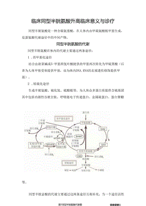 临床同型半胱氨酸升高临床意义与诊疗.docx