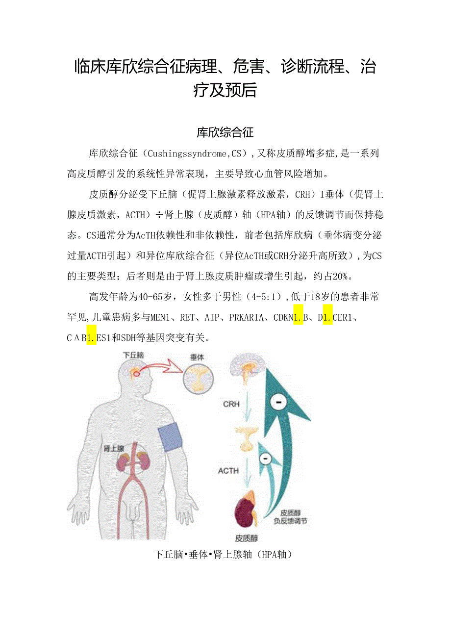 临床库欣综合征病理、危害、诊断流程、治疗及预后.docx_第1页