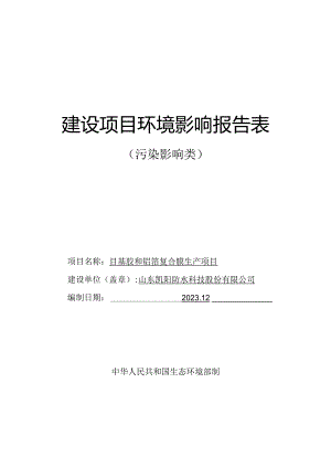 丁基胶和铝箔复合膜生产项目环评报告表.docx