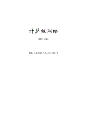 主要的网络产品公司的网络产品.docx