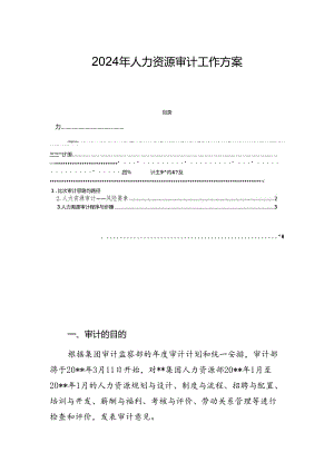 2024年人力资源审计工作方案.docx