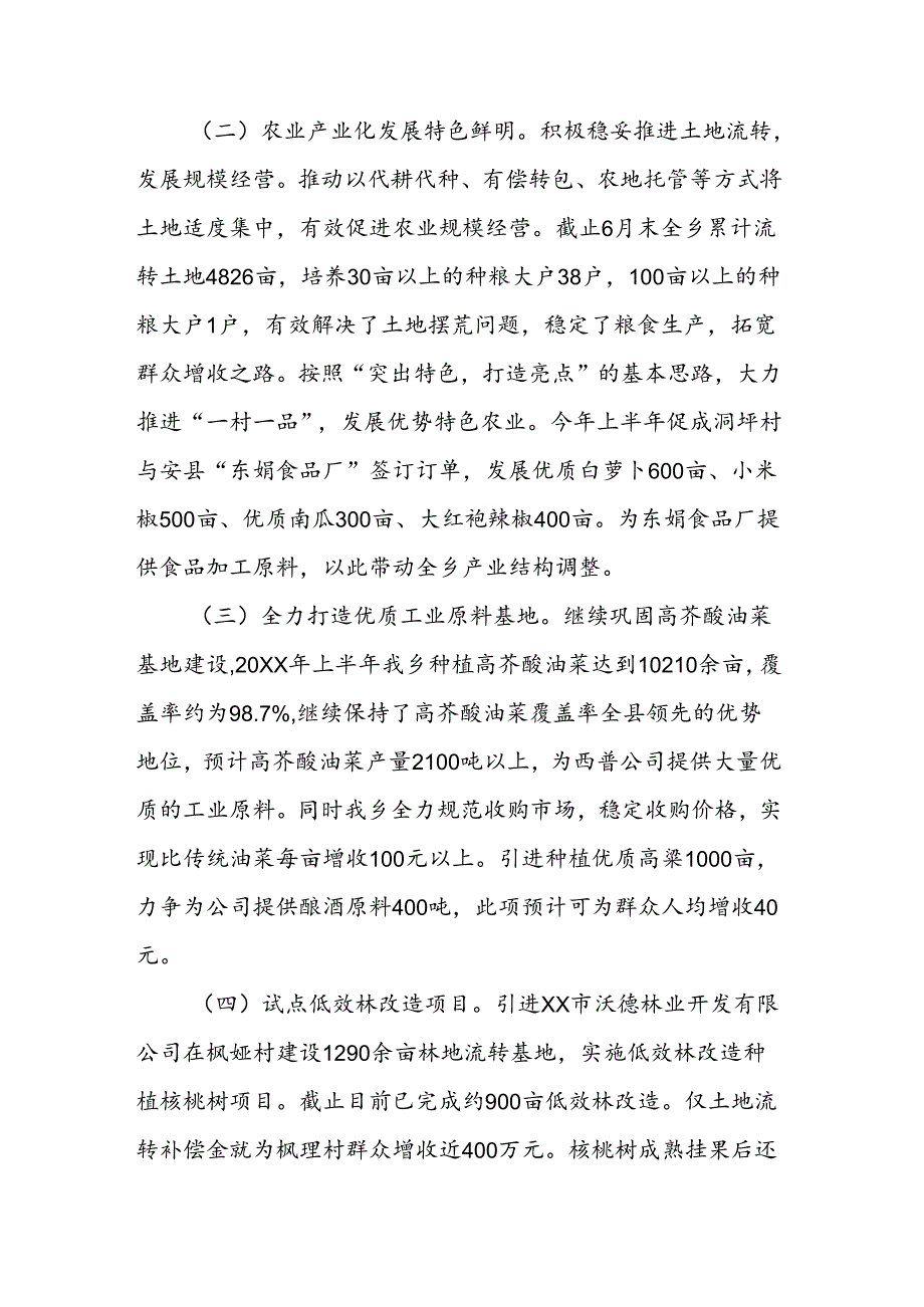 乡镇上半年工作总结.docx_第2页