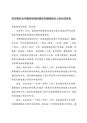 2篇 司法局在全市基层党组织建设专题推进会上的交流发言材料.docx