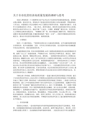 关于全市民营经济高质量发展的调研与思考.docx