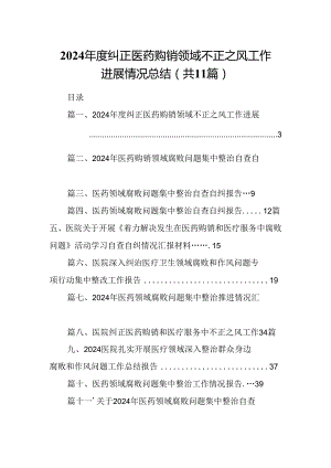 （11篇）2024年度纠正医药购销领域不正之风工作进展情况总结（最新版）.docx