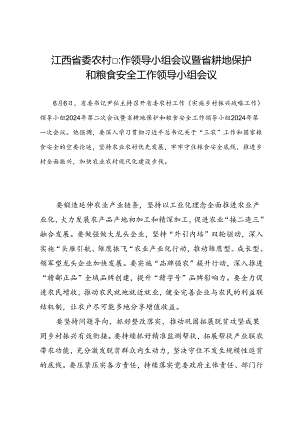 领导讲话∣党政综合：20240606江西省委农村工作领导小组会议暨省耕地保护和粮食安全工作领导小组会议.docx