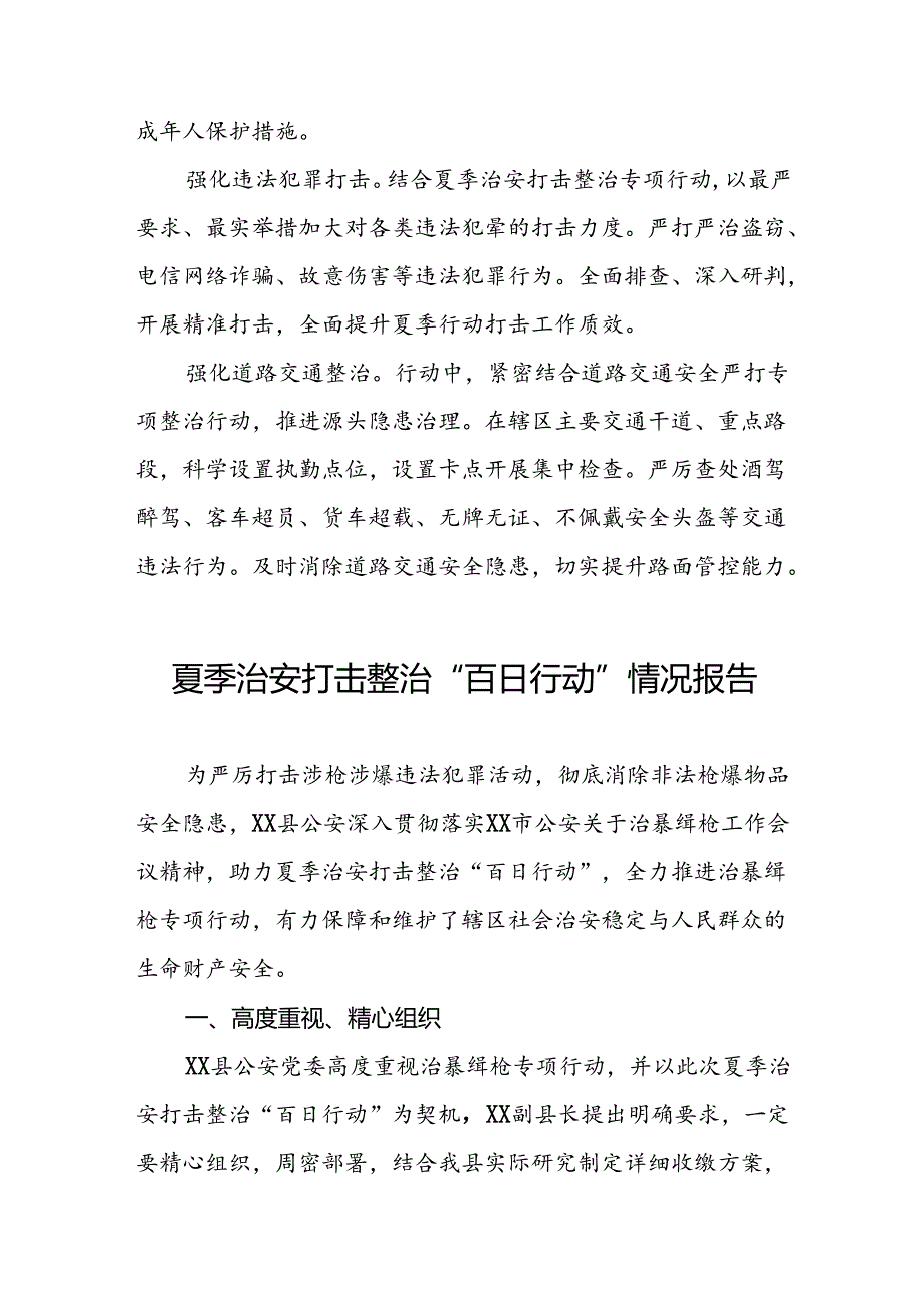 2024公安“夏季治安打击整治行动”情况报告七篇.docx_第2页