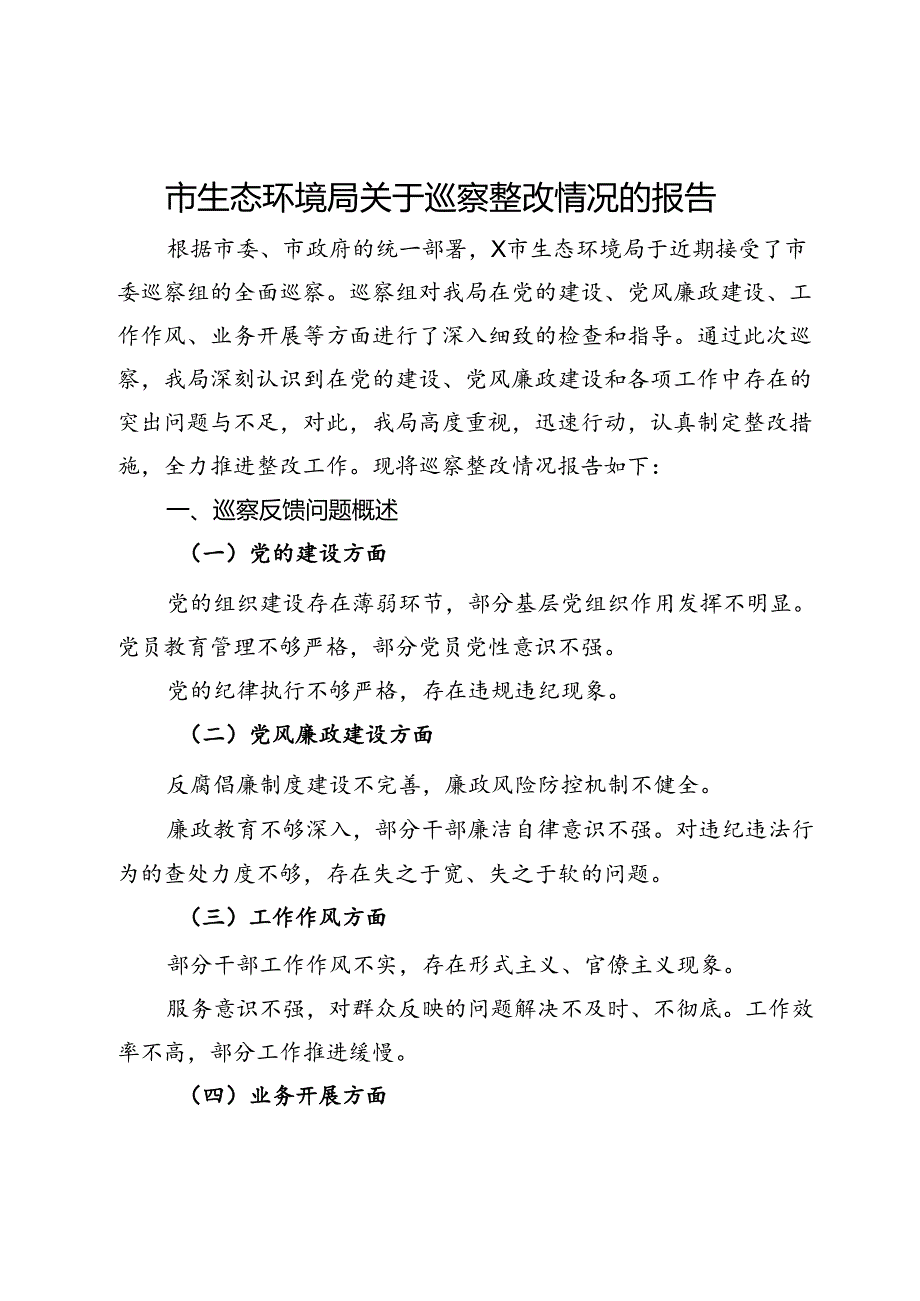 市生态环境局关于巡察整改情况的报告.docx_第1页