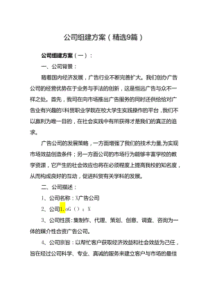 公司组建方案(精选9篇).docx