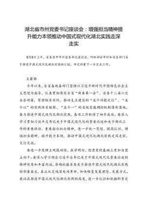 领导讲话∣党政综合：20240606湖北省市州党委书记座谈会：增强担当精神 提升能力本领 推动中国式现代化湖北实践走深走实.docx