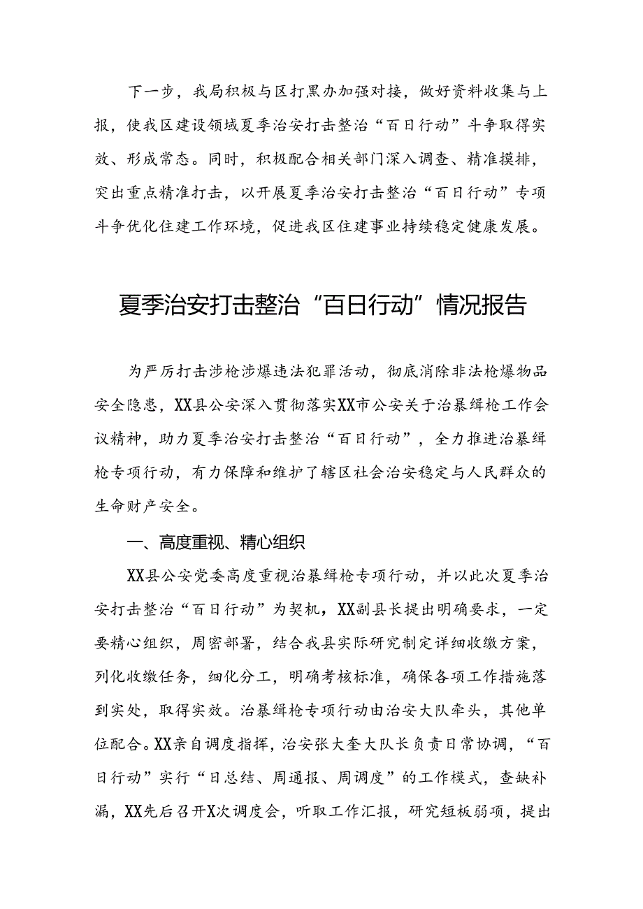 2024夏季治安打击整治“百日行动”工作总结(十篇).docx_第3页