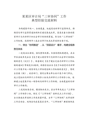 某某区审计局“三审协同”工作典型经验交流材料.docx