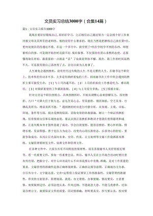 文员实习总结3000字（合集14篇）.docx