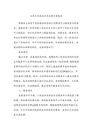 公共文化设施专项治理自查报告.docx