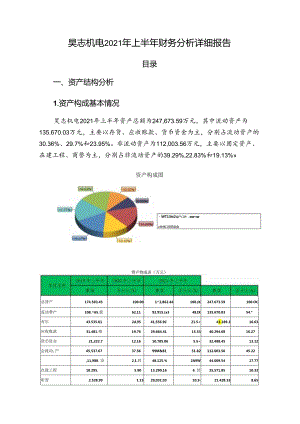 昊志机电2021年上半年财务分析详细报告.docx