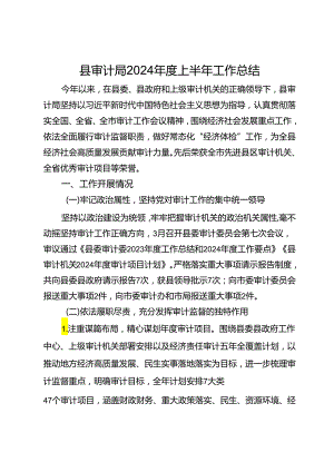 县审计局2024年度上半年工作总结.docx