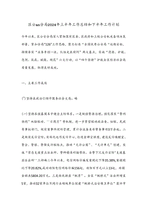 区公an分局2024年上半年工作总结和下半年工作计划.docx