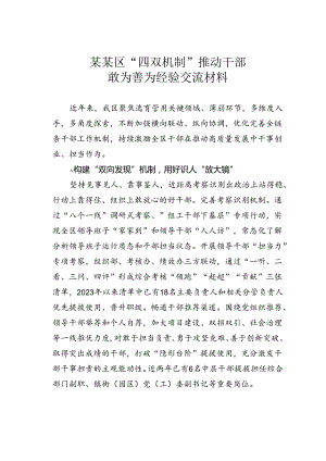 某某区“四双机制”推动干部敢为善为经验交流材料.docx