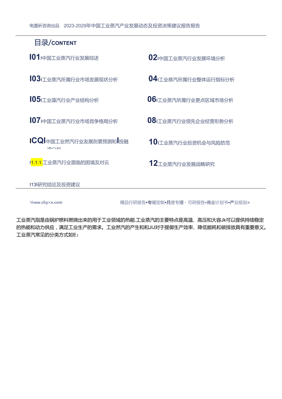 工业蒸汽行业市场前景分析—2023年发展前景研究报告—智研咨询.docx_第2页