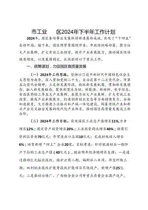 市工业园区2024年下半年工作计划.docx