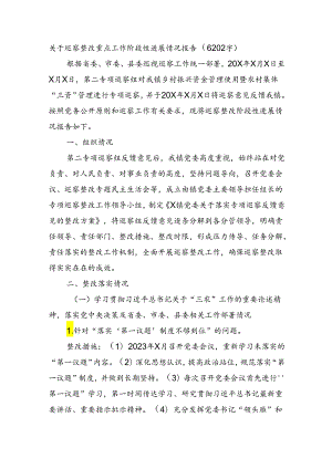 关于巡察整改重点工作阶段性进展情况报告（6202字）.docx