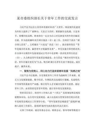 某市委组织部长关于青年工作的交流发言.docx