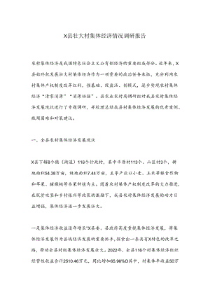 X县壮大村集体经济情况调研报告.docx