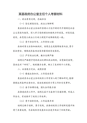 某县政府办公室主任个人考察材料.docx