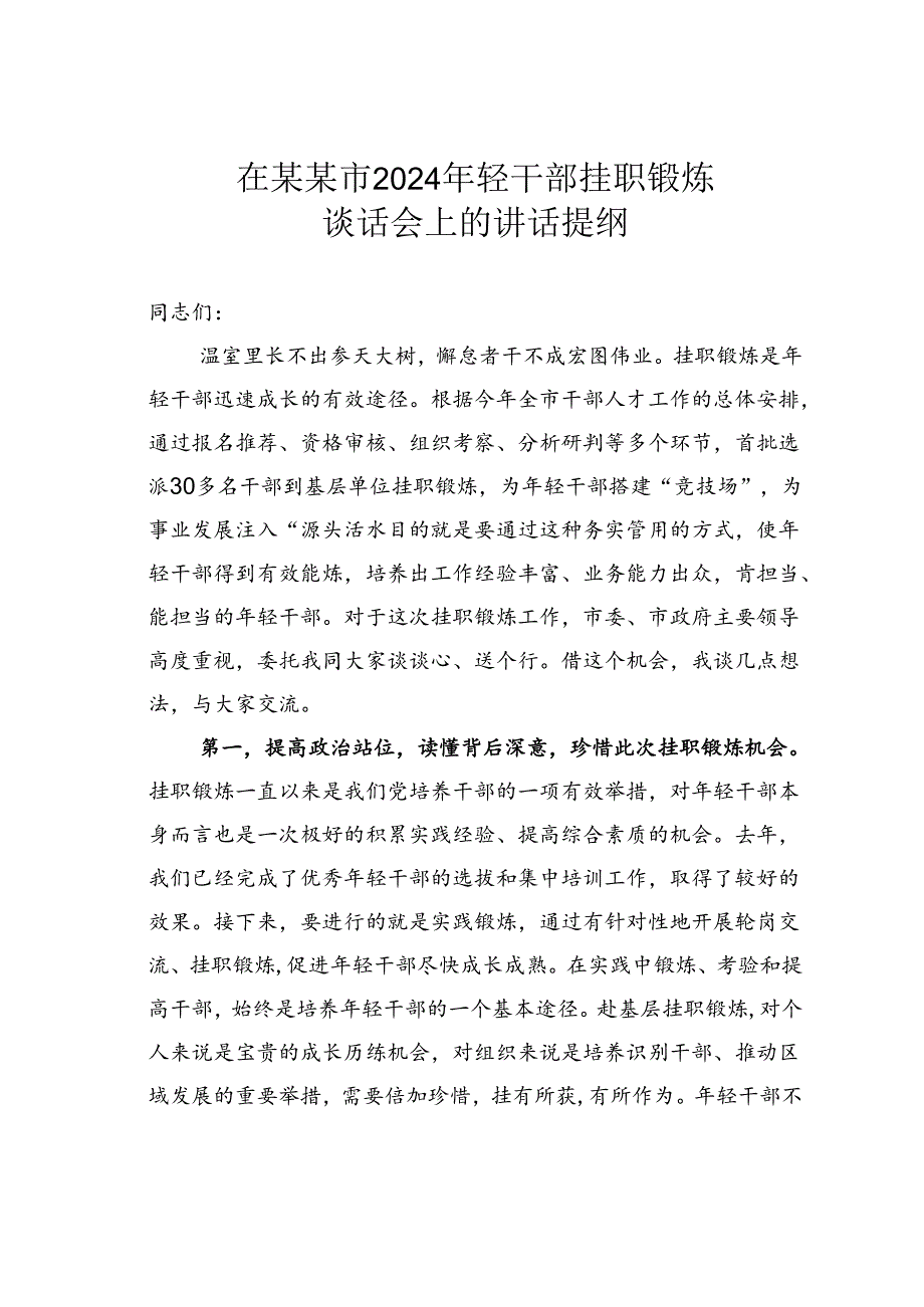 在某某市2024年轻干部挂职锻炼谈话会上的讲话提纲.docx_第1页