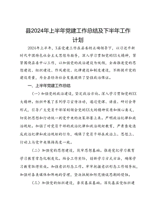 县2024年上半年党建工作总结及下半年工作计划.docx