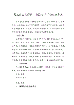 某某市容秩序集中整治专项行动实施方案.docx