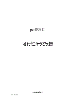 pet膜项目可行性研究报告-模版1.docx