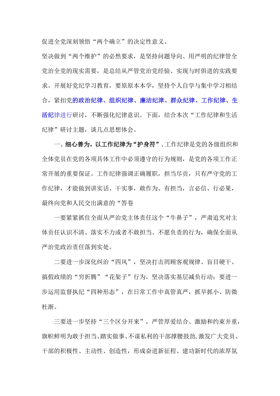 2024年“廉洁纪律和群众纪律”研讨发言六篇范文稿.docx_第2页