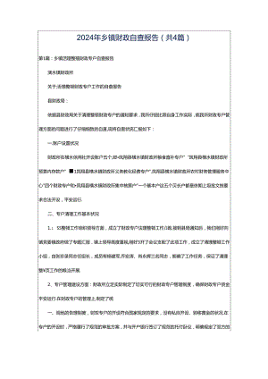 2024年乡镇财政自查报告（共4篇）.docx