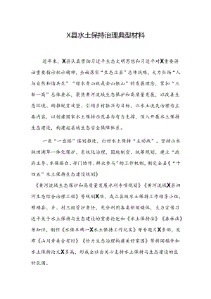 X县水土保持治理典型材料.docx