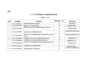 2024年5月全国新增建档立卡新能源发电项目.docx