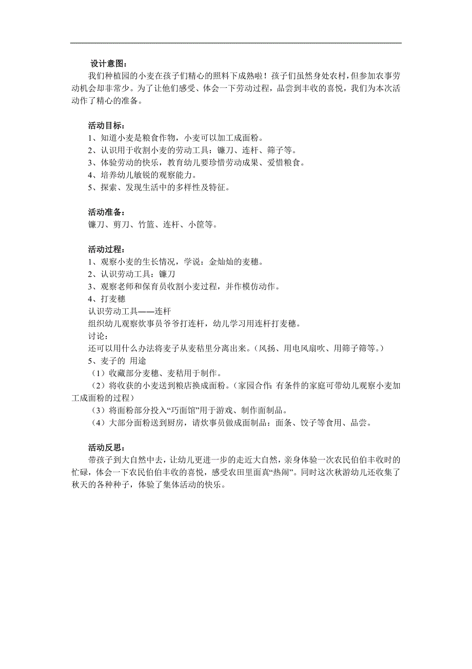 大班社会《小麦丰收啦》PPT课件教案参考教案.docx_第1页